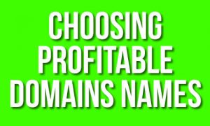 Choosing Profitable Domain Names